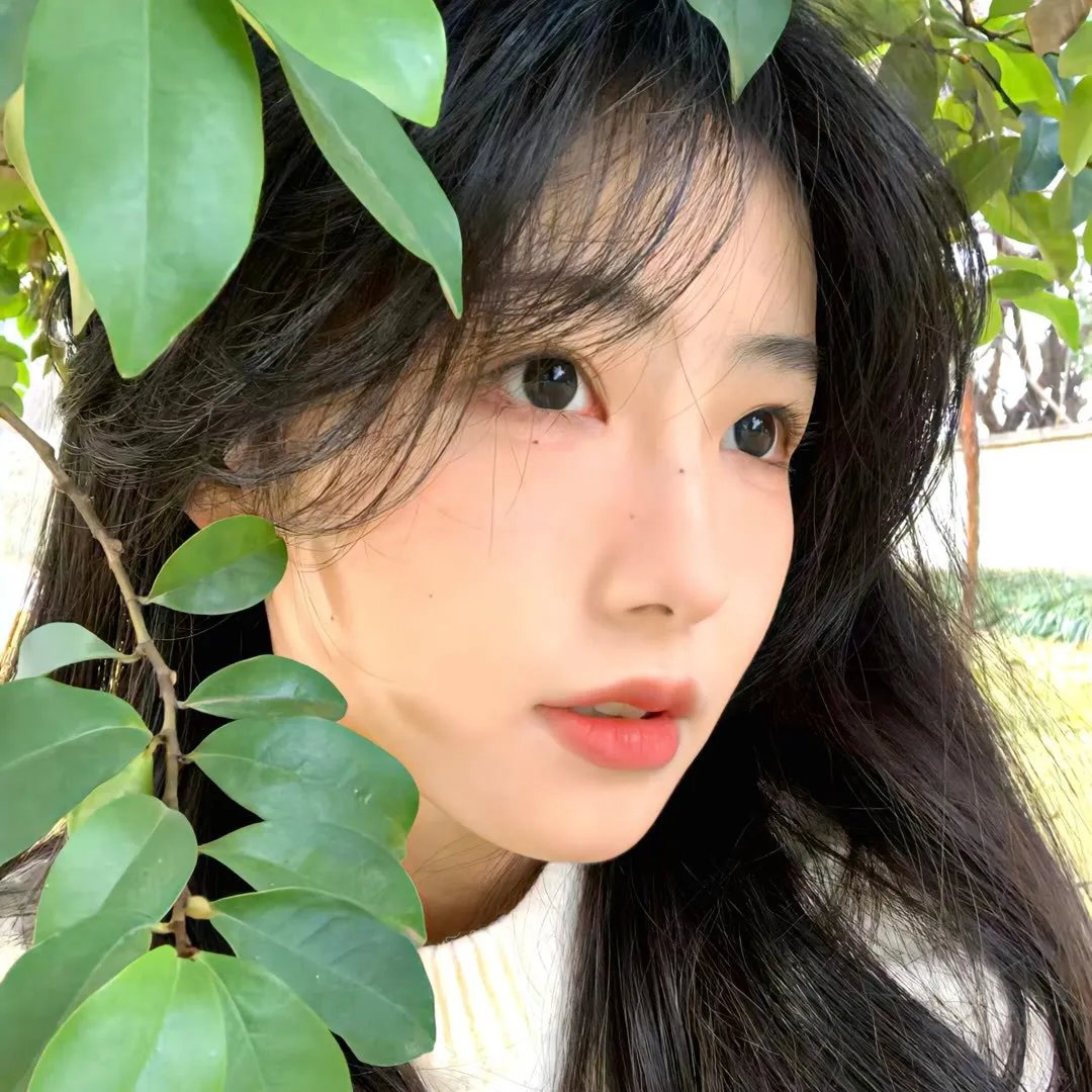 女王密使