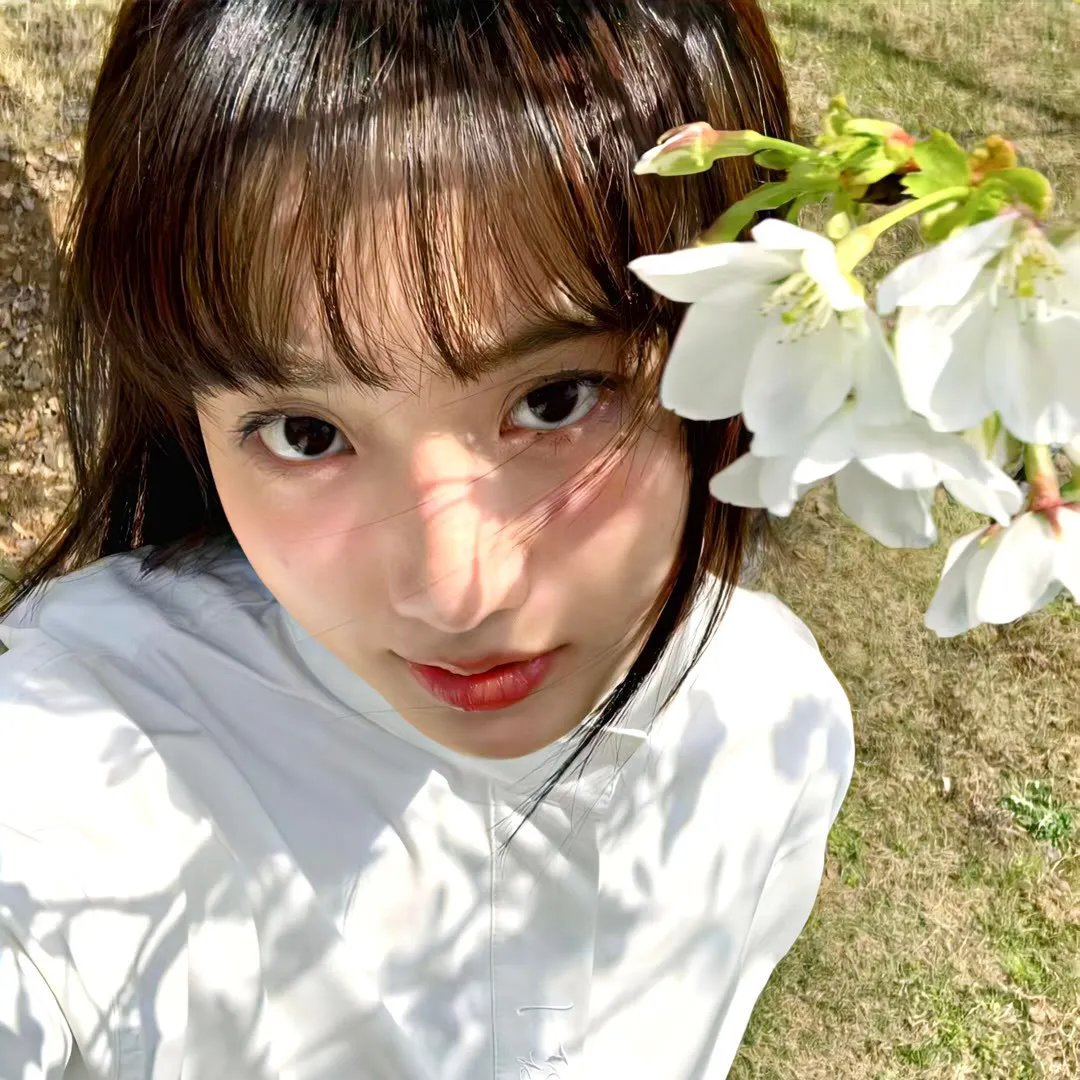 牙仙