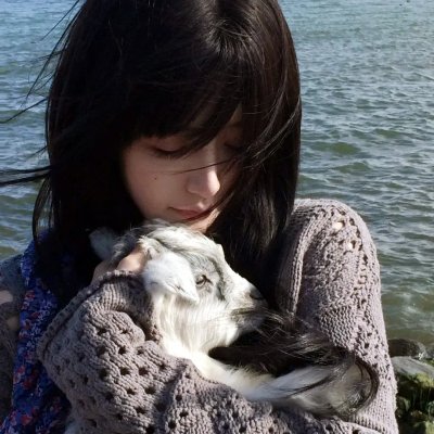 春光绿柳营