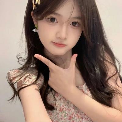 崔弟的高飞冒险